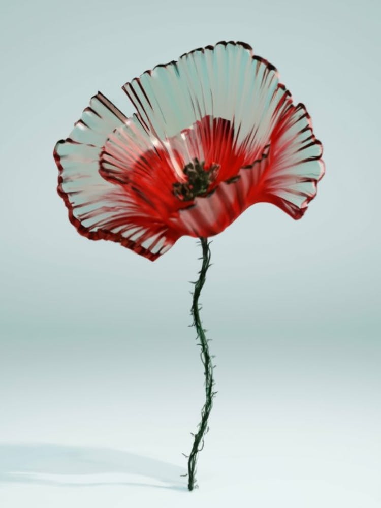 Glass Poppy