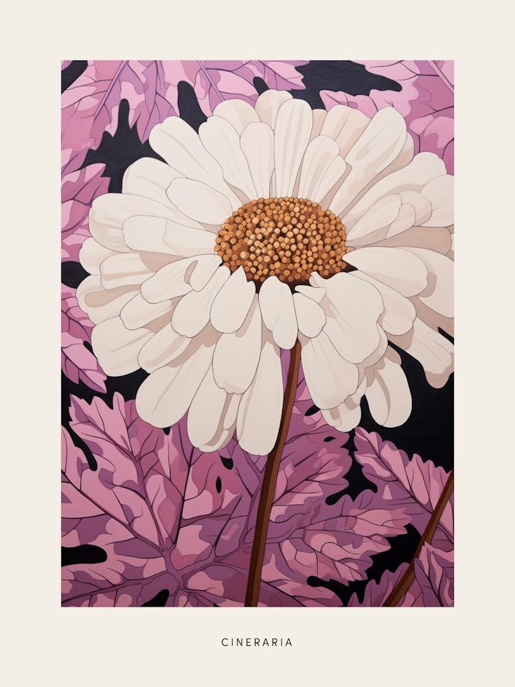 Flower Illustration Cineraria 3 Poster