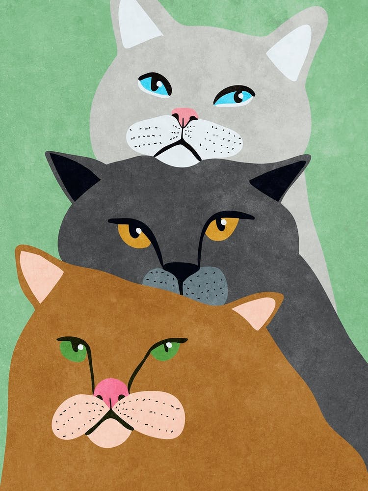 Cat Trio