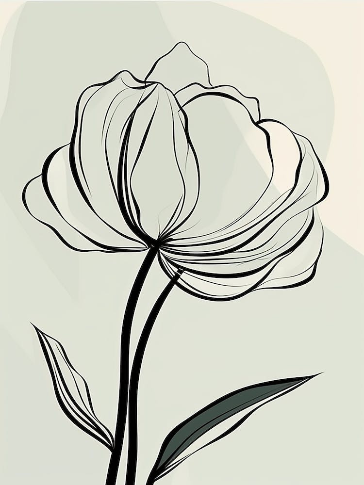 Line Art Tulips Flowers Illustration Neutral 5