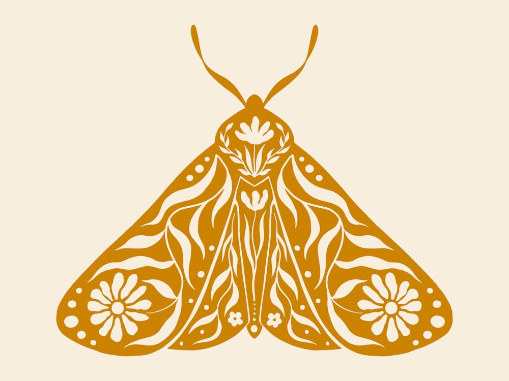 Folk Art Moth 03 - Mango