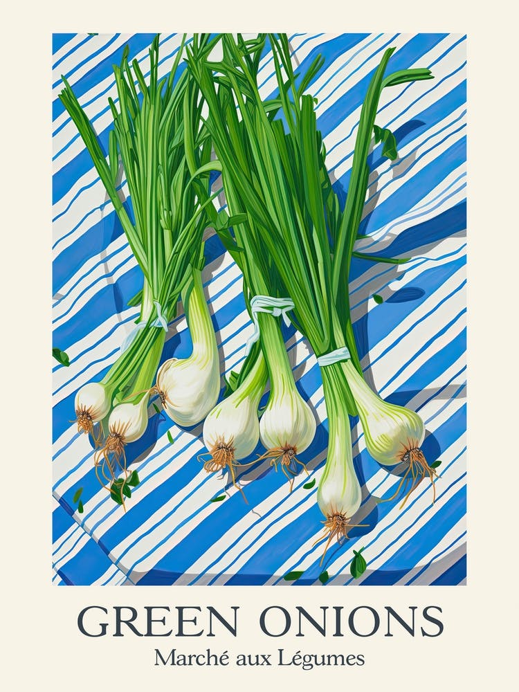 Marche Aux Legumes Green Onions Summer Illustration 4