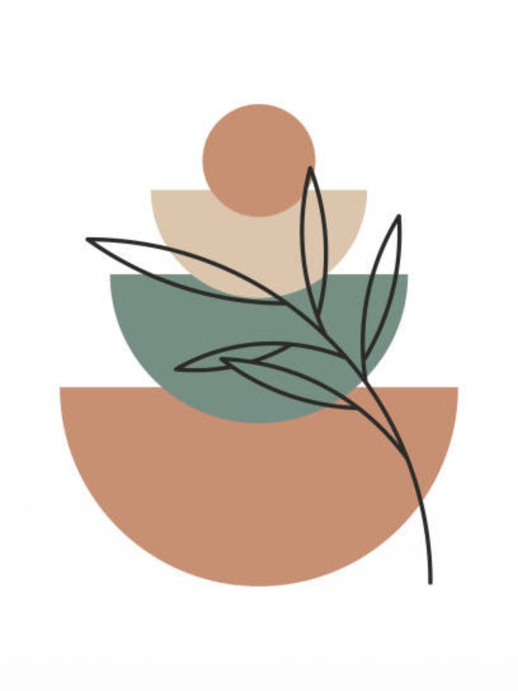 Adobe Illustrator