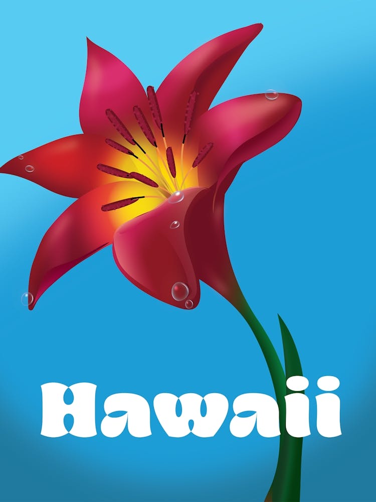 Lys Hawaïen