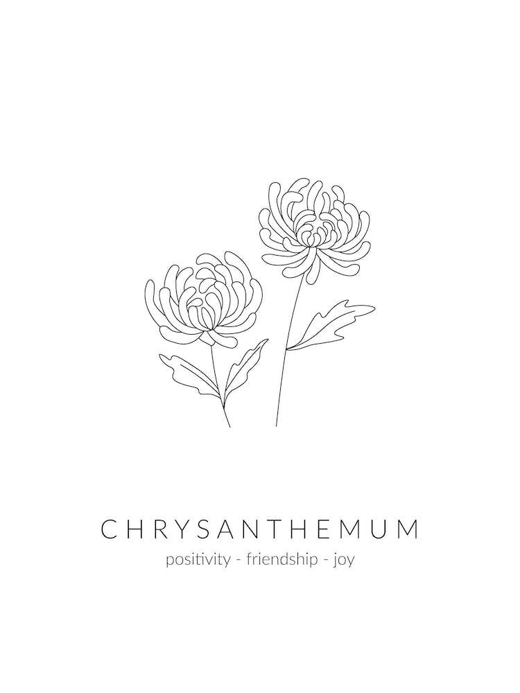 Chrysanthemen-Geburtsblume
