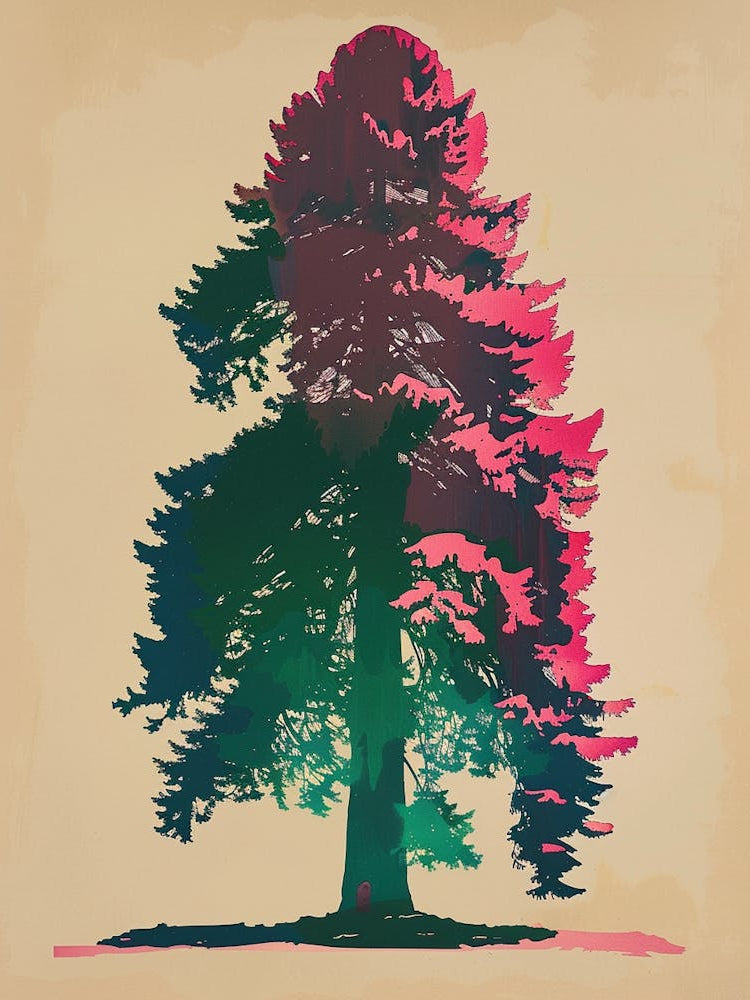 Redwood Tree Colourful Illustration 2