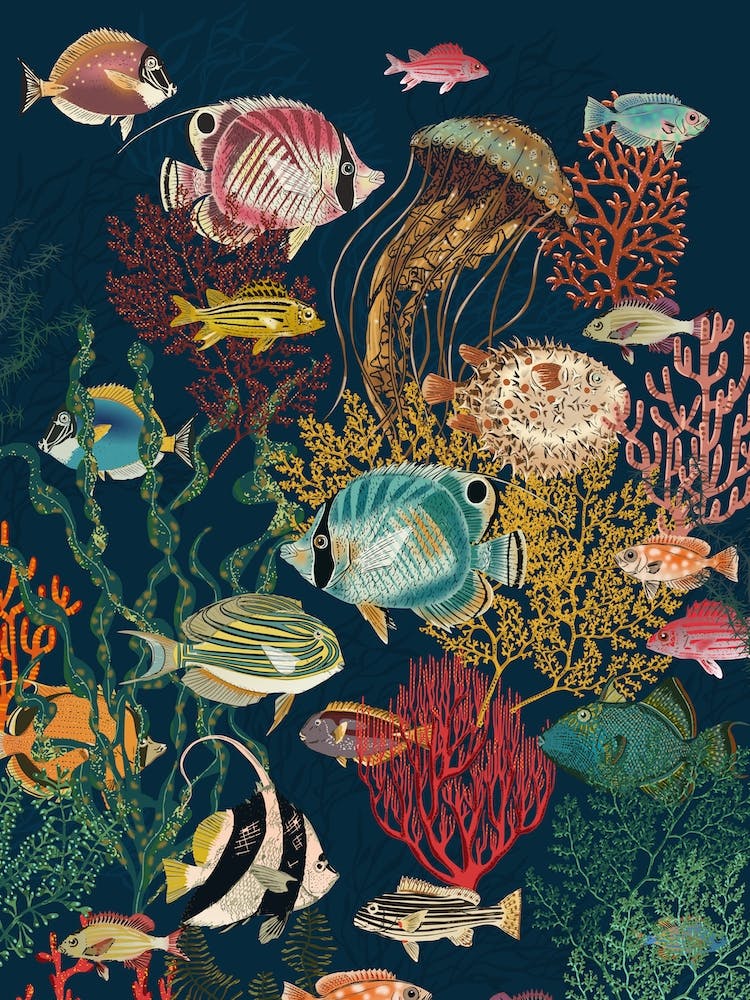 Coral Reef Deep Silence