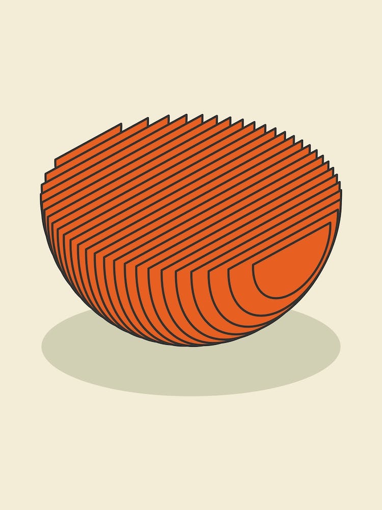 Marienkäfer Anatomie Abstrakt Minimal