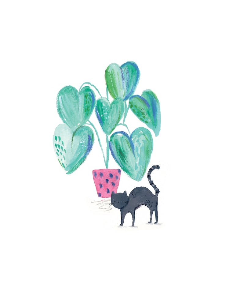 Painted Black Cat And House Plant