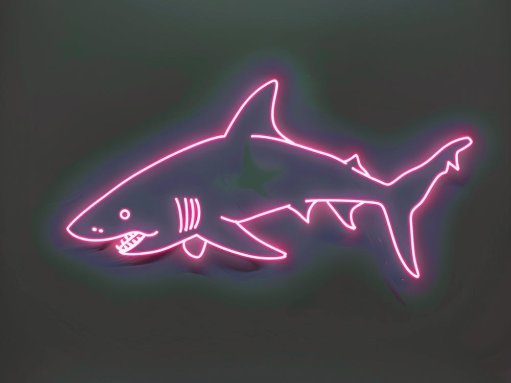 Pink Tiger Neon Shark 3