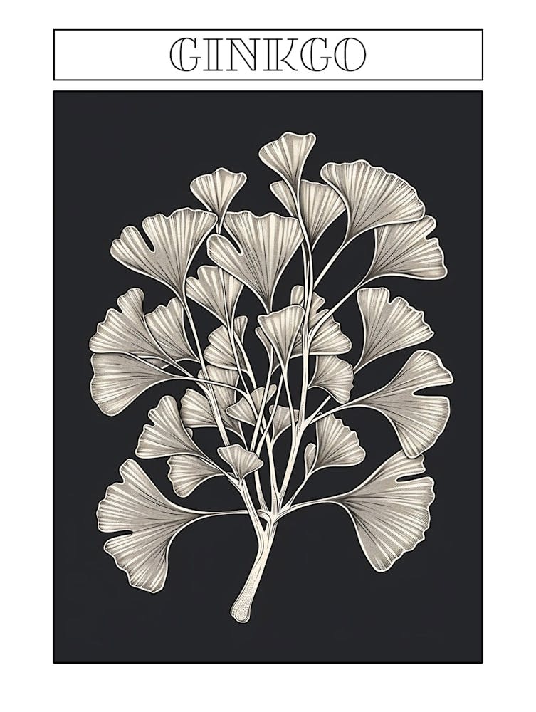 Ginkgo Tree Minimalistic Drawing 1 Poster