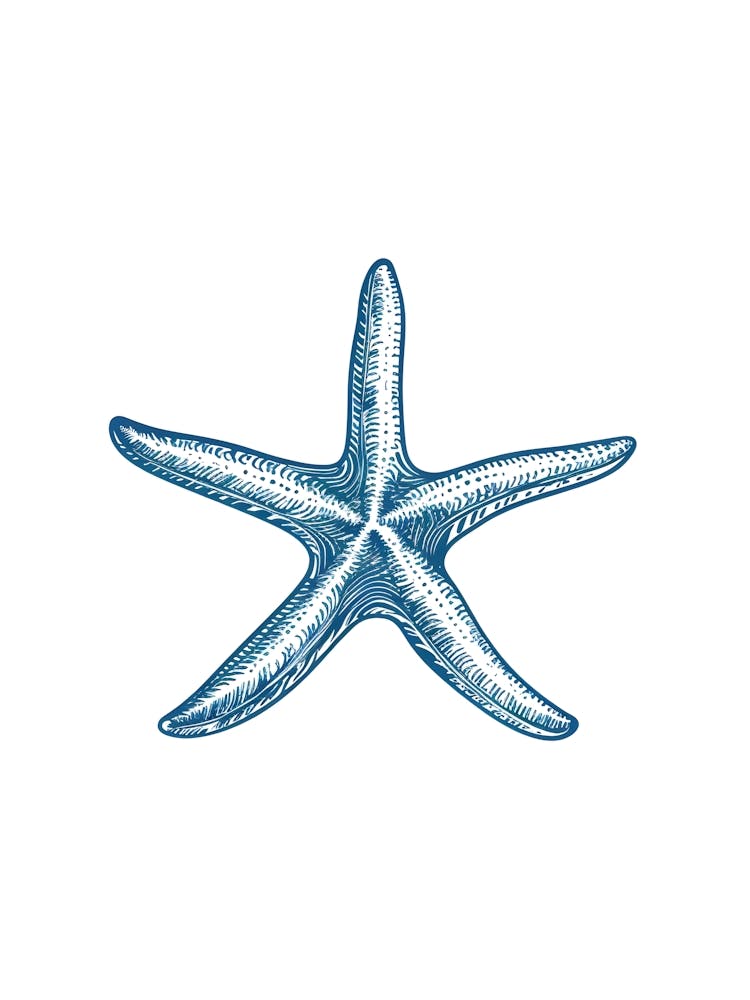 Starfish 32