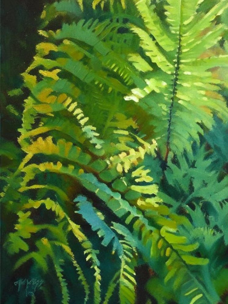 Sensitive Fern Cézanne Style