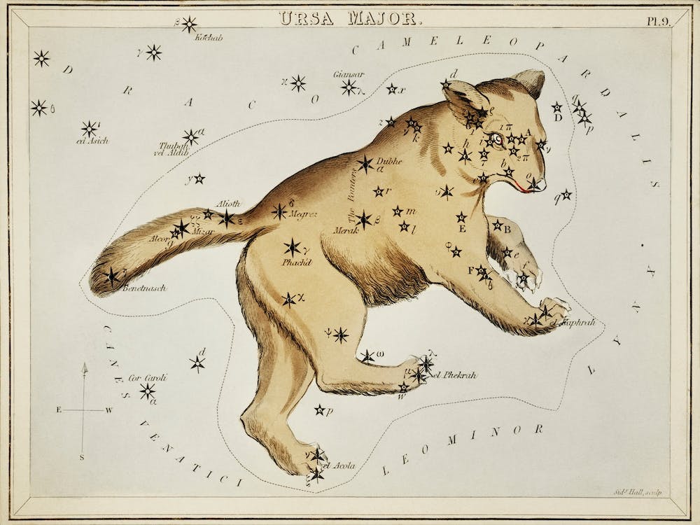 Sidney Hall’s (1831), Astronomical Chart Illustration Of The Ursa Major