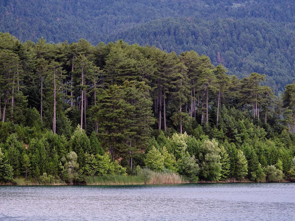 At The Lake