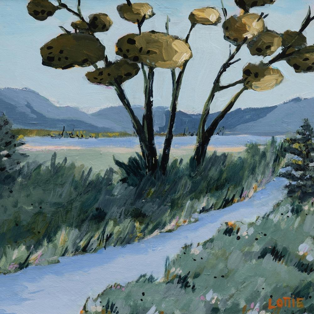 Water Through The Trees