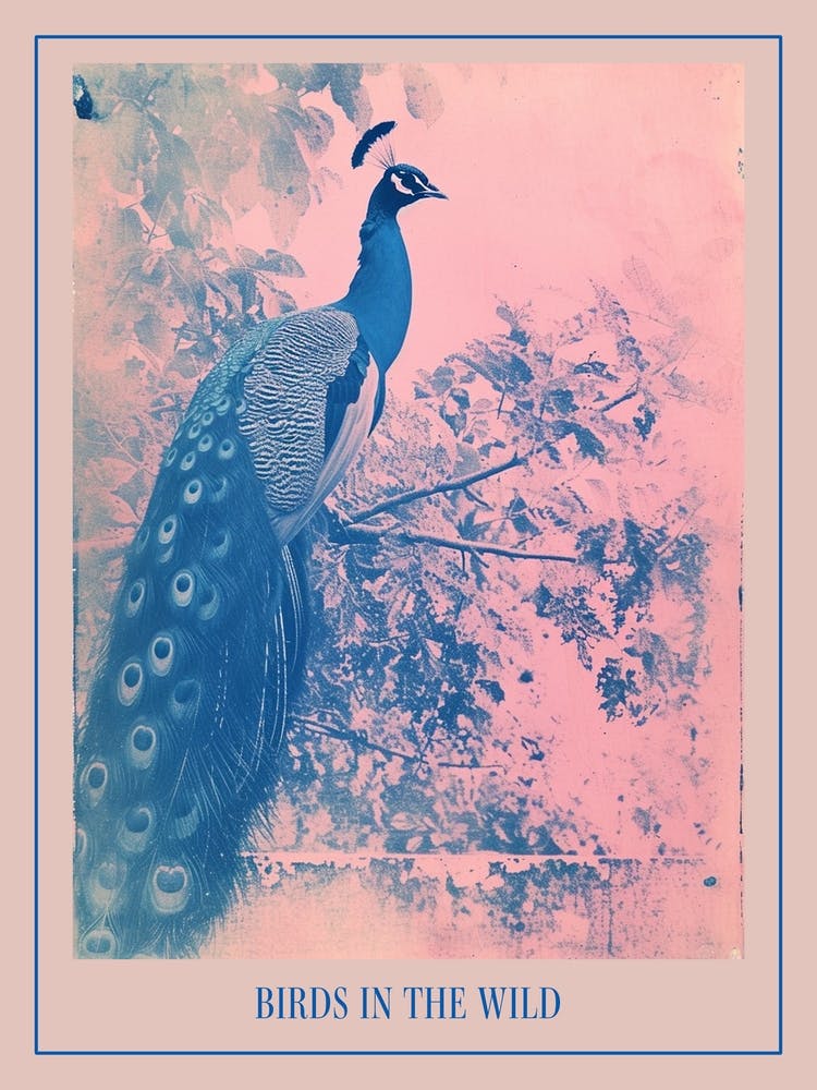 Pink & Blye Peacock In A Tree Cyanotype Inspired 1 Poster
