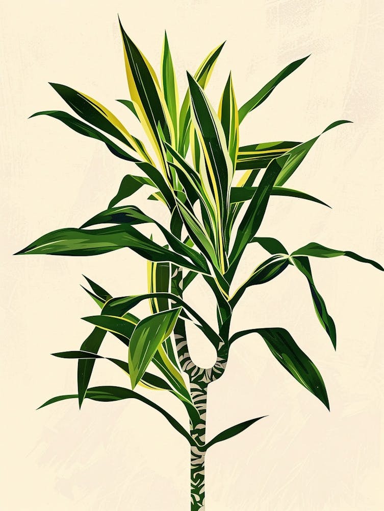 Dracaena Plant Minimalist Illustration 5