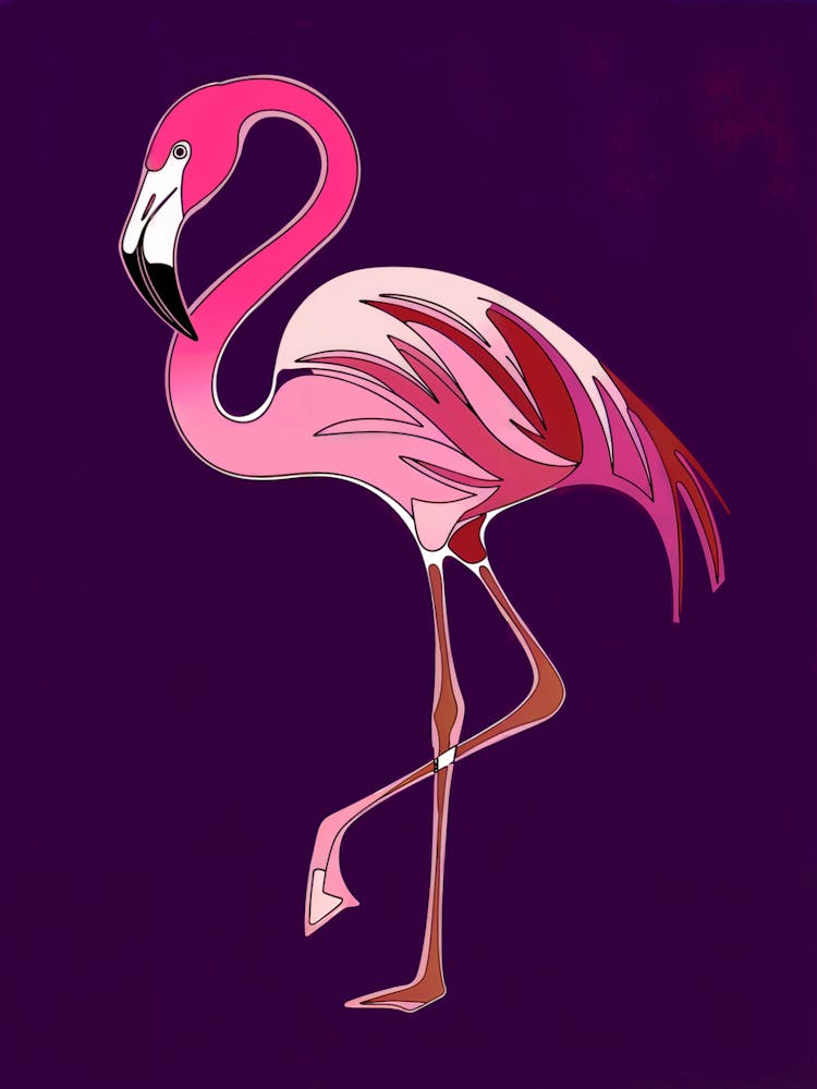 Flamingo 1