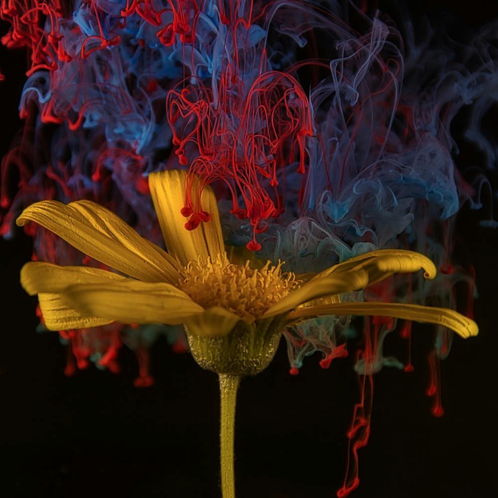 Flower With Smoke