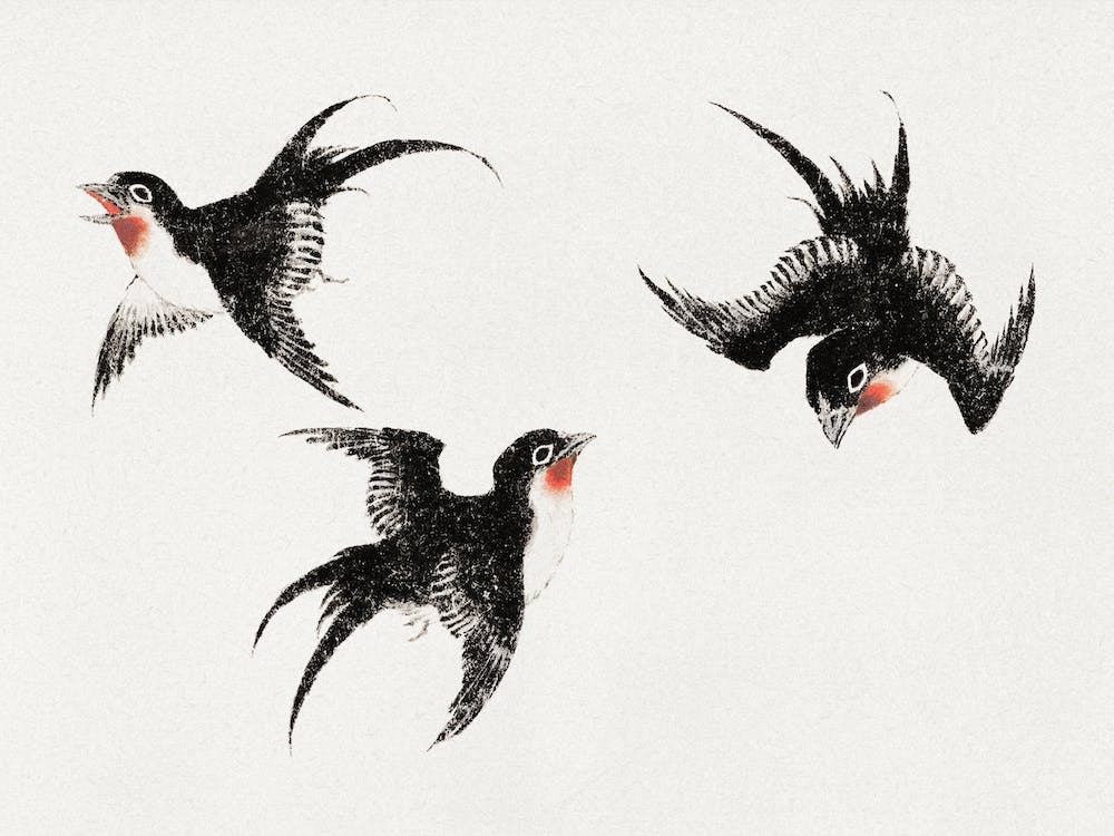 Katsushika Hokusai's Birds, From Album Of Sketches,