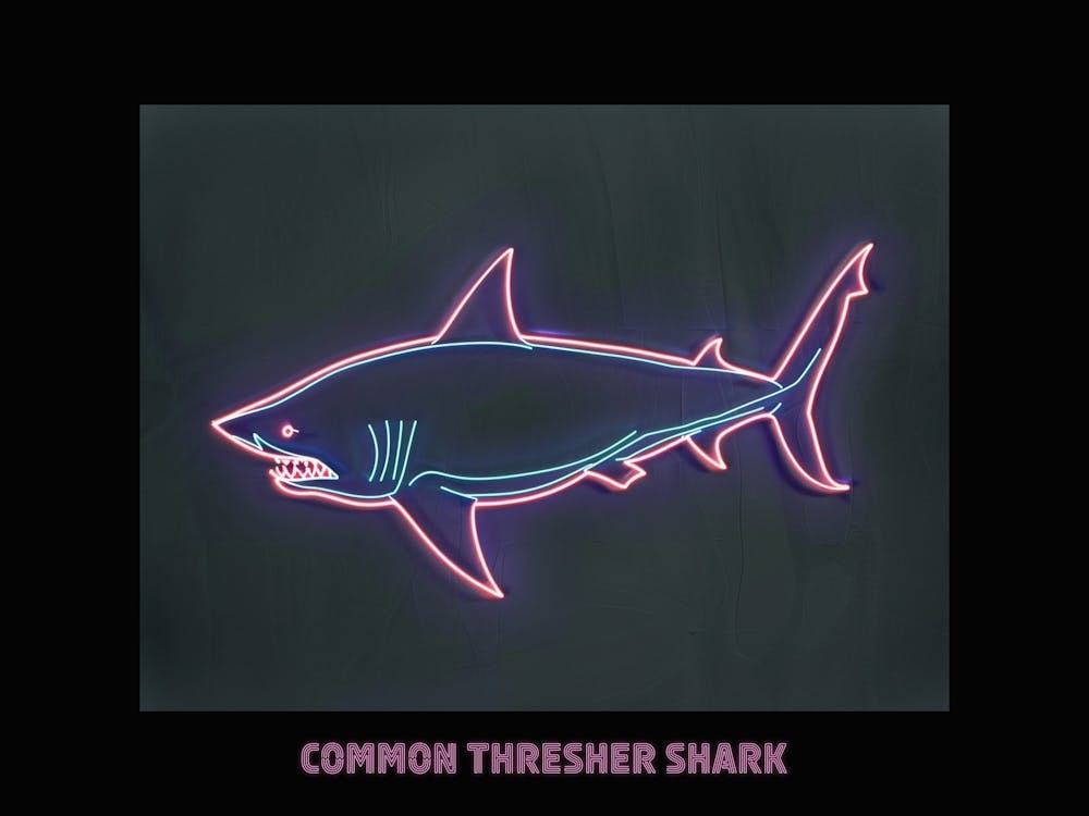 Neon Pink Blue Common Thresher Shark Poster 2