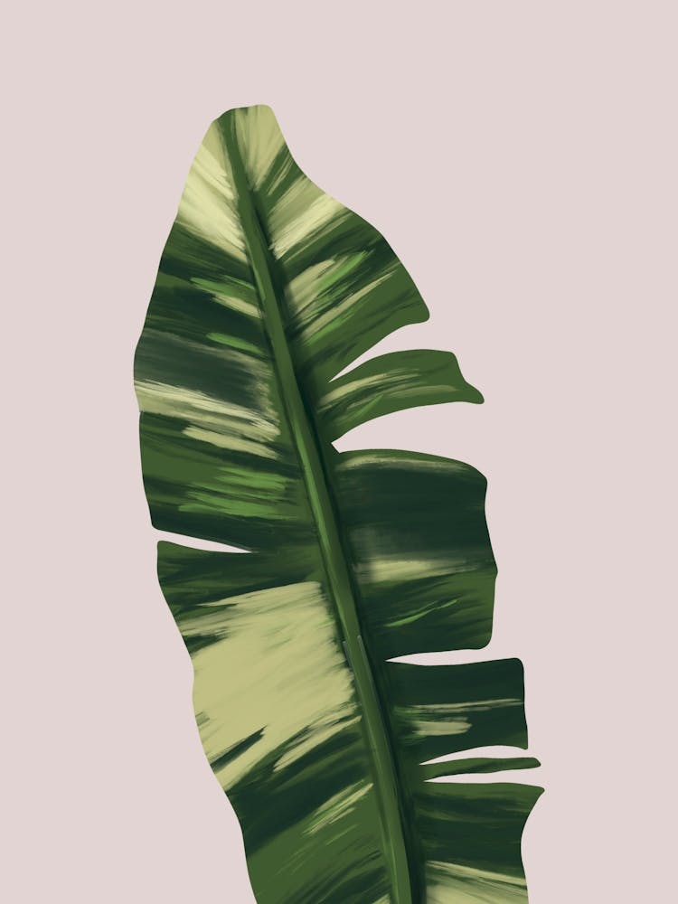 Tropical Banana Leaf Zoom