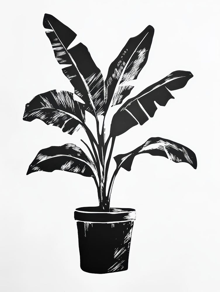 Banana Plant 11