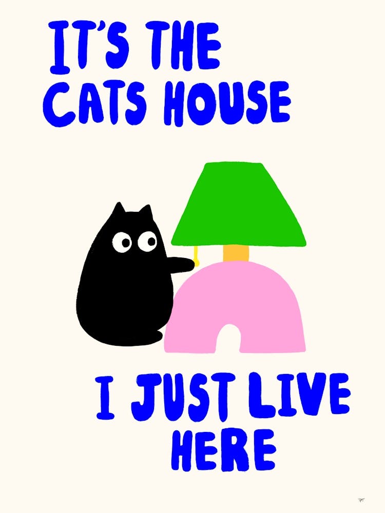Cats House