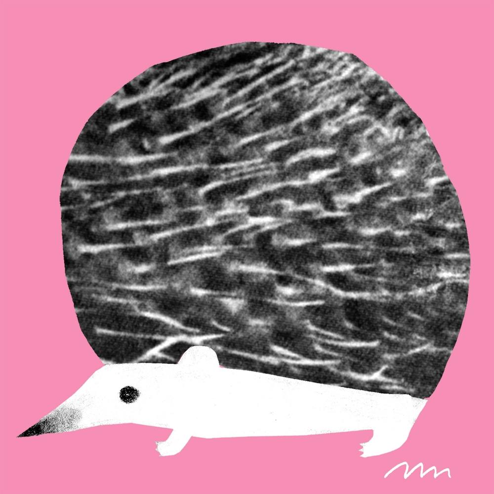 Hedgefog