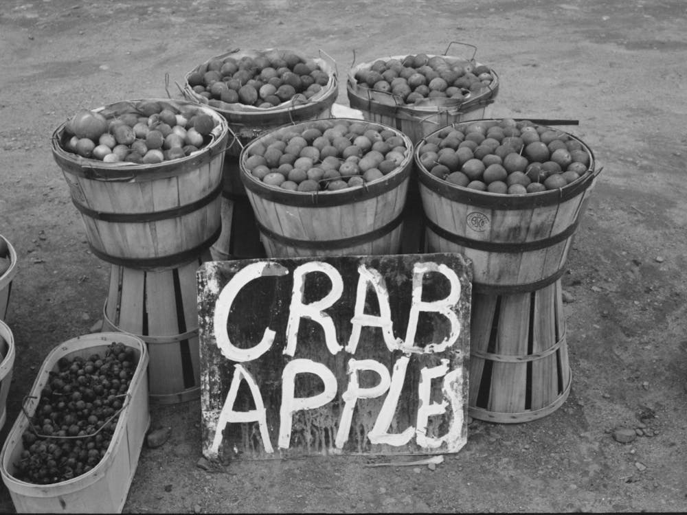 Crab Apples Displayed At Roadside Stand Near Berlin, Connecticut By Russell Lee