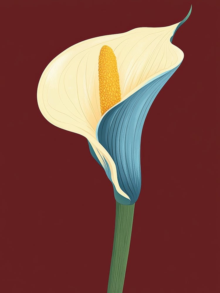 Calla Lily 18