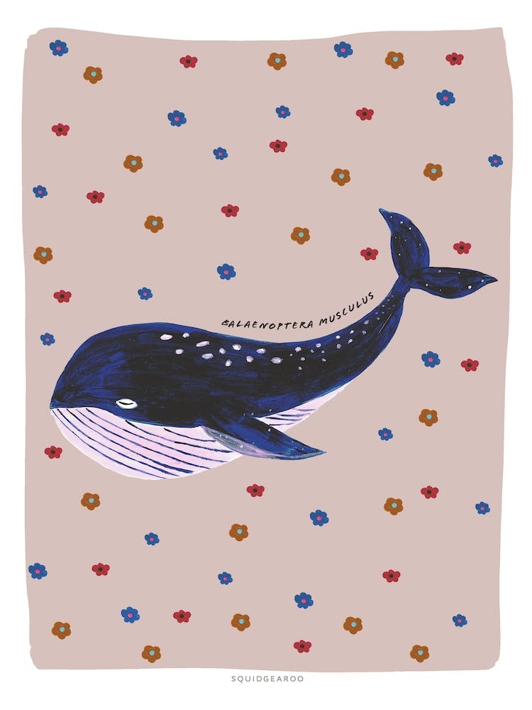 Retro Whale In Putty