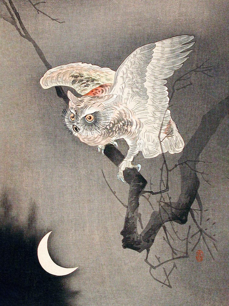 Scops Owl In Moonlight, Ohara Koson