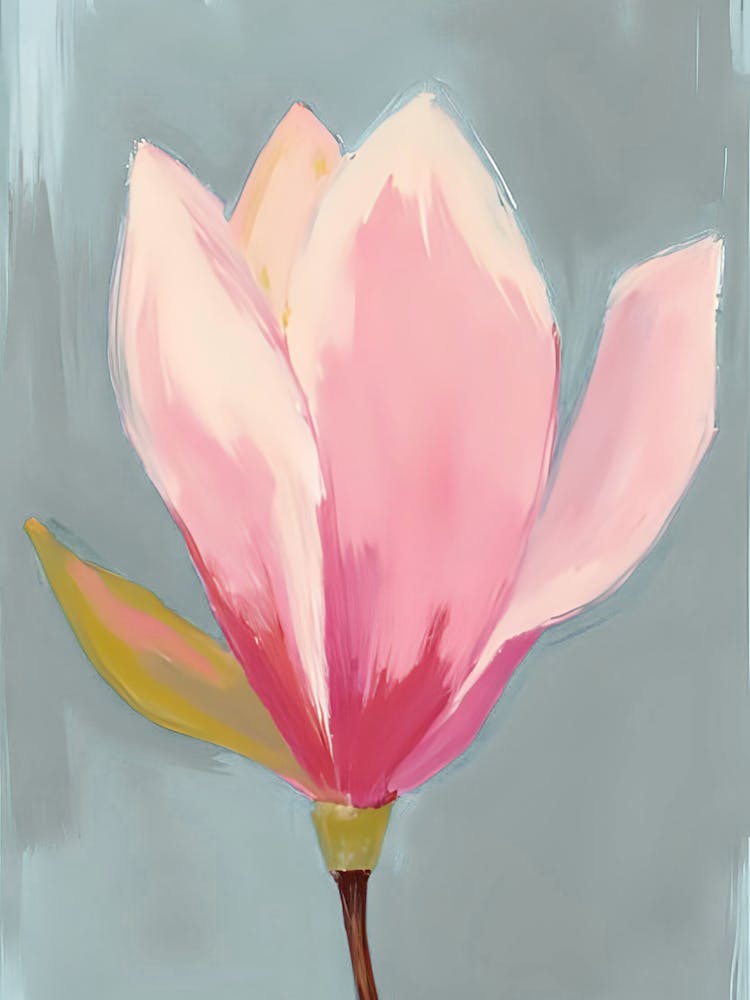 Magnolia 4