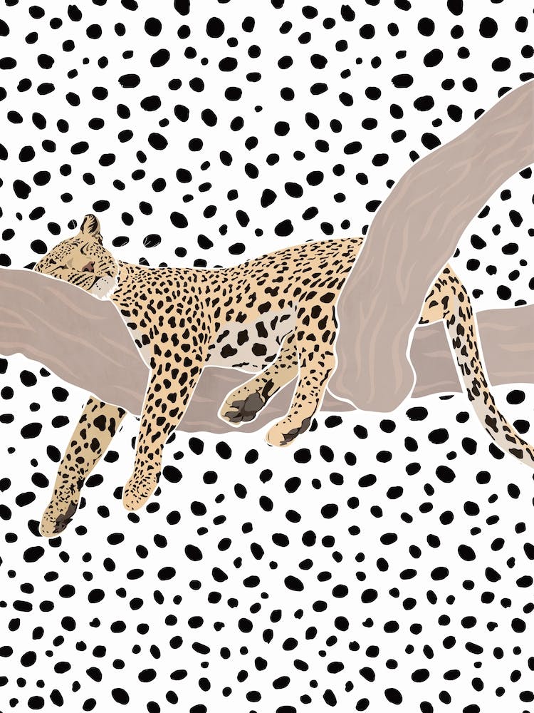 Leopard Sleeping On A Branch