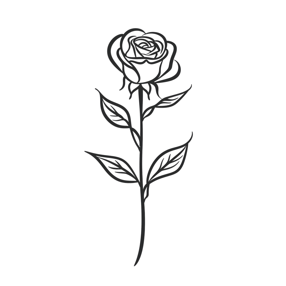 Rose June Birth Month Flower