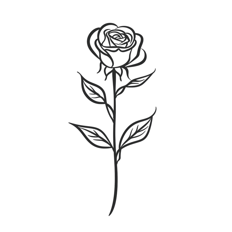 Rose June Birth Month Flower
