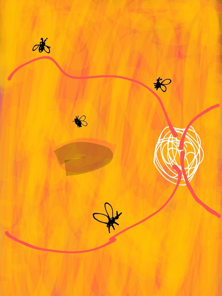 flies in the retina