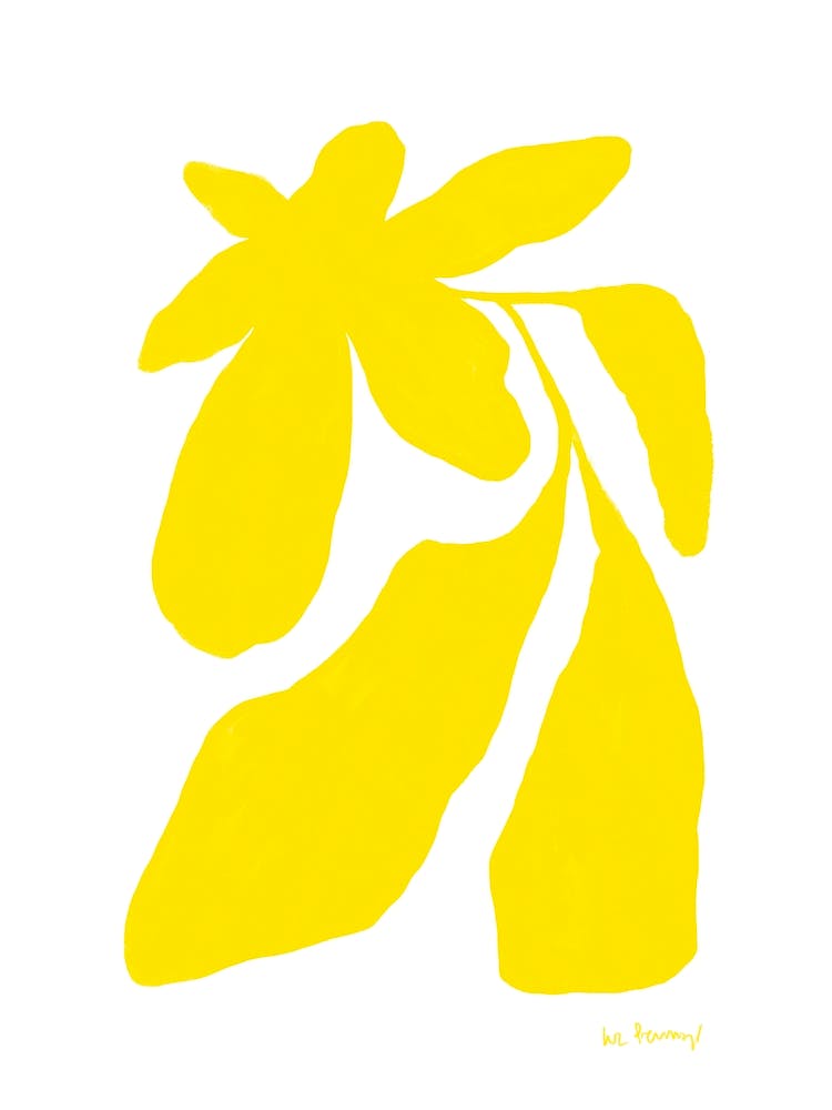 Spring Yellow Flowers 7