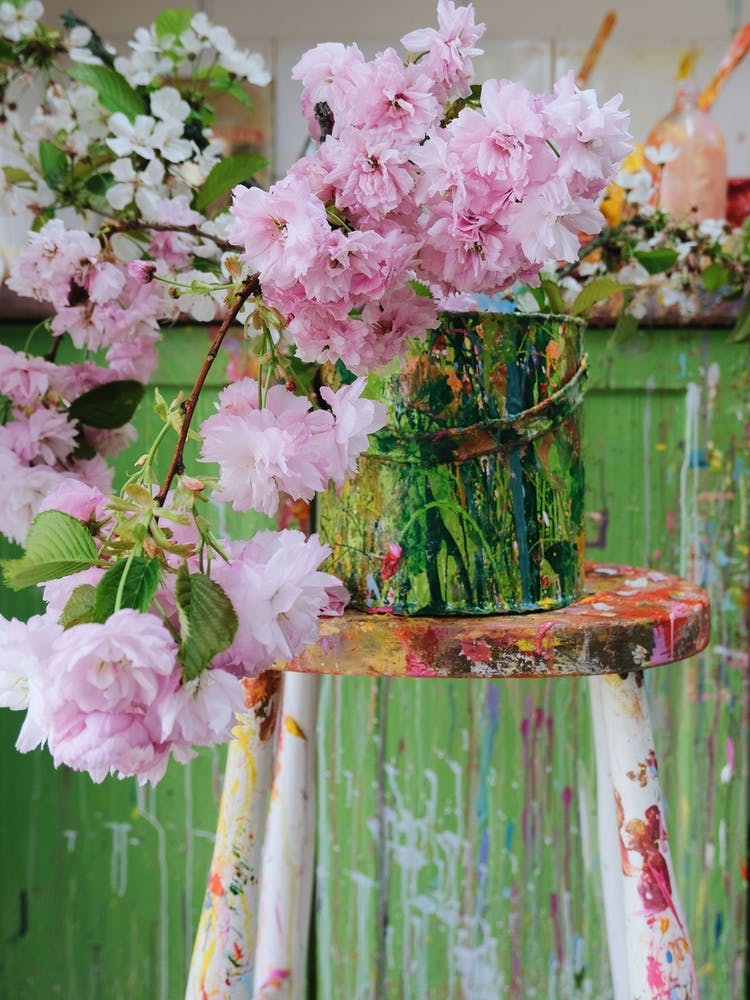  Yvonne Pink Blossom