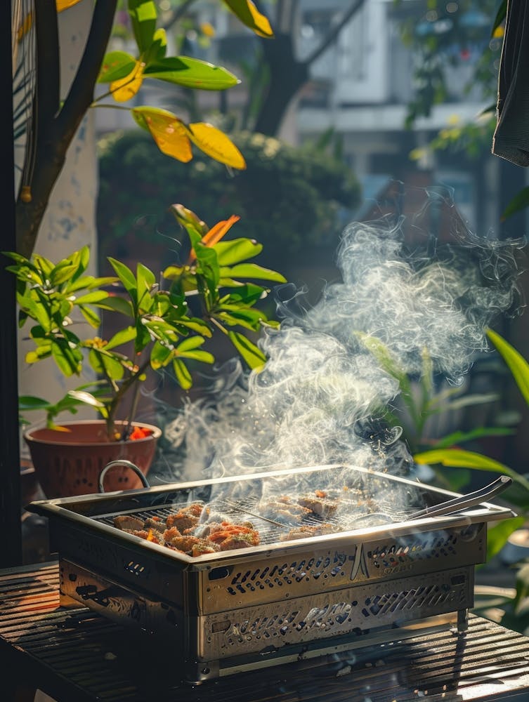 Bbq Grill With Smoke