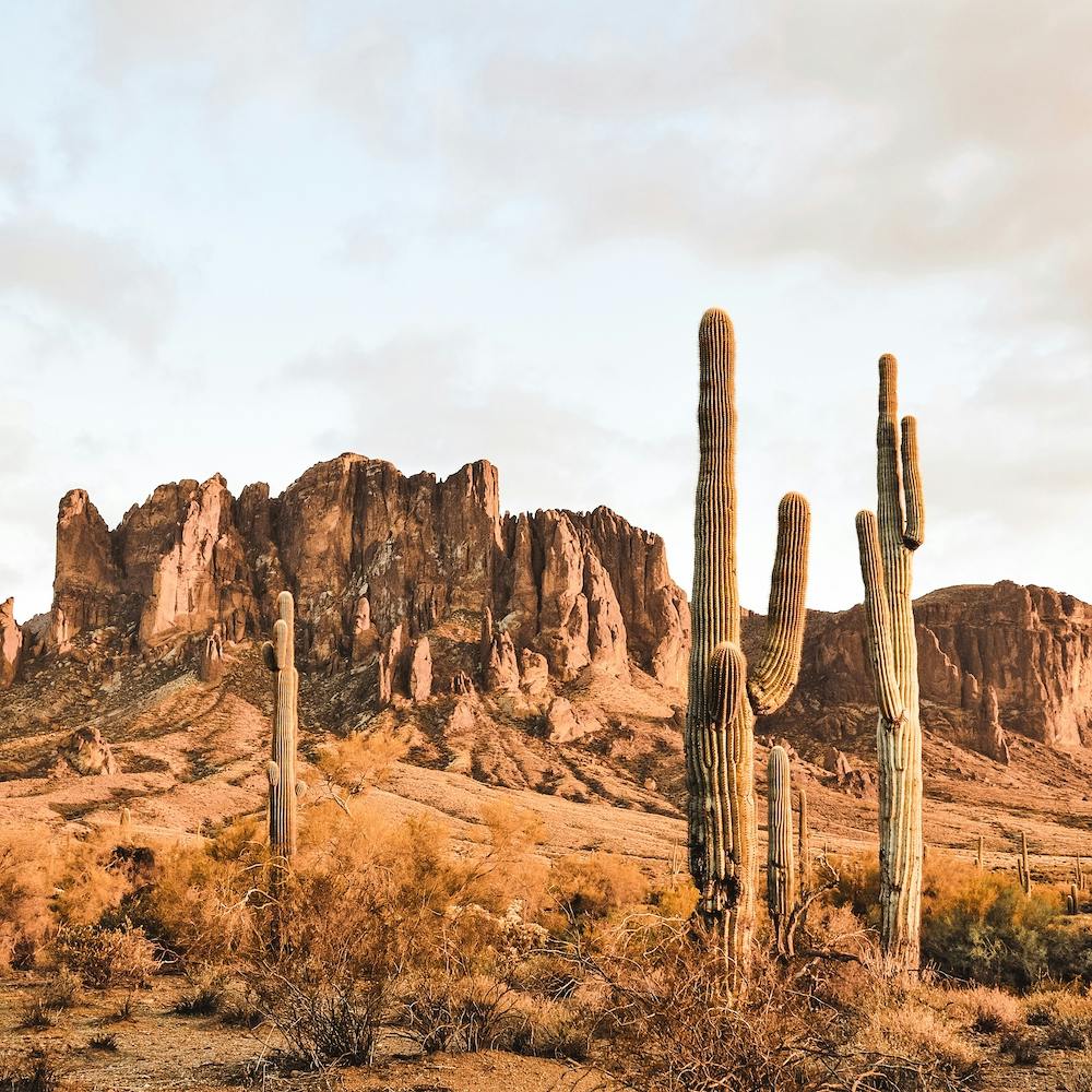 Desert Mountain Scenery Square