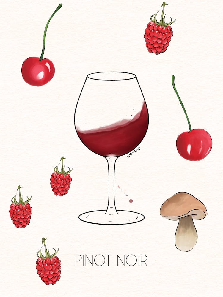 Pinot Noir