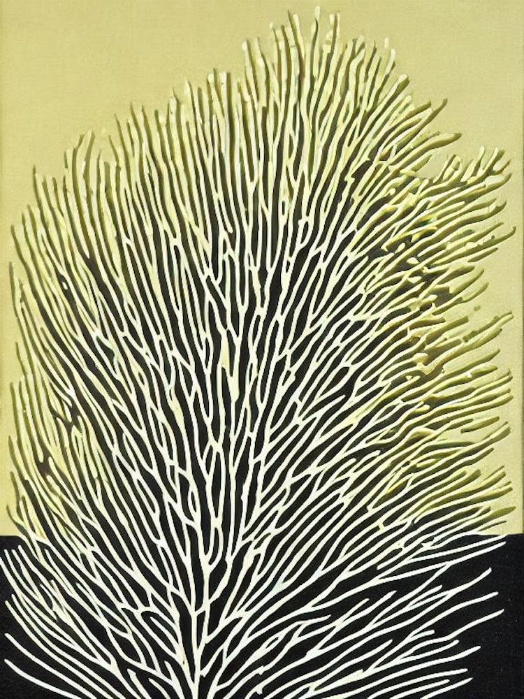 Acropora Gemmifera Iii Linocut