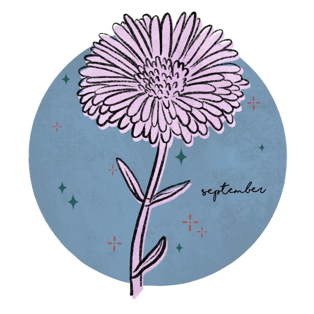 Fleur de naissance de Septembre
