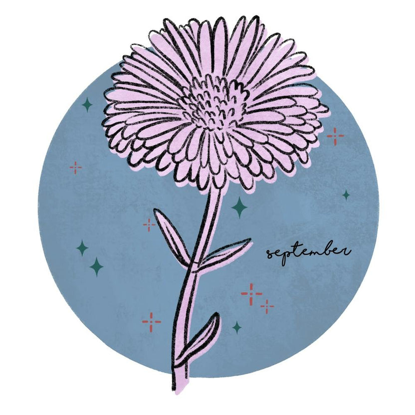 September Birth Flower