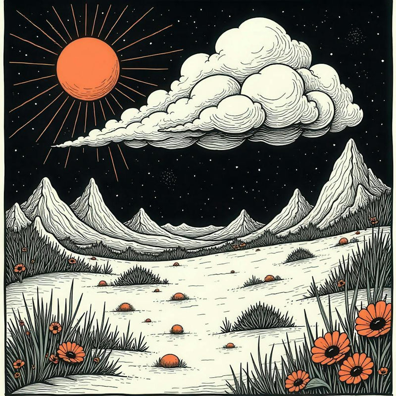 Cloudy Sky With Poppies