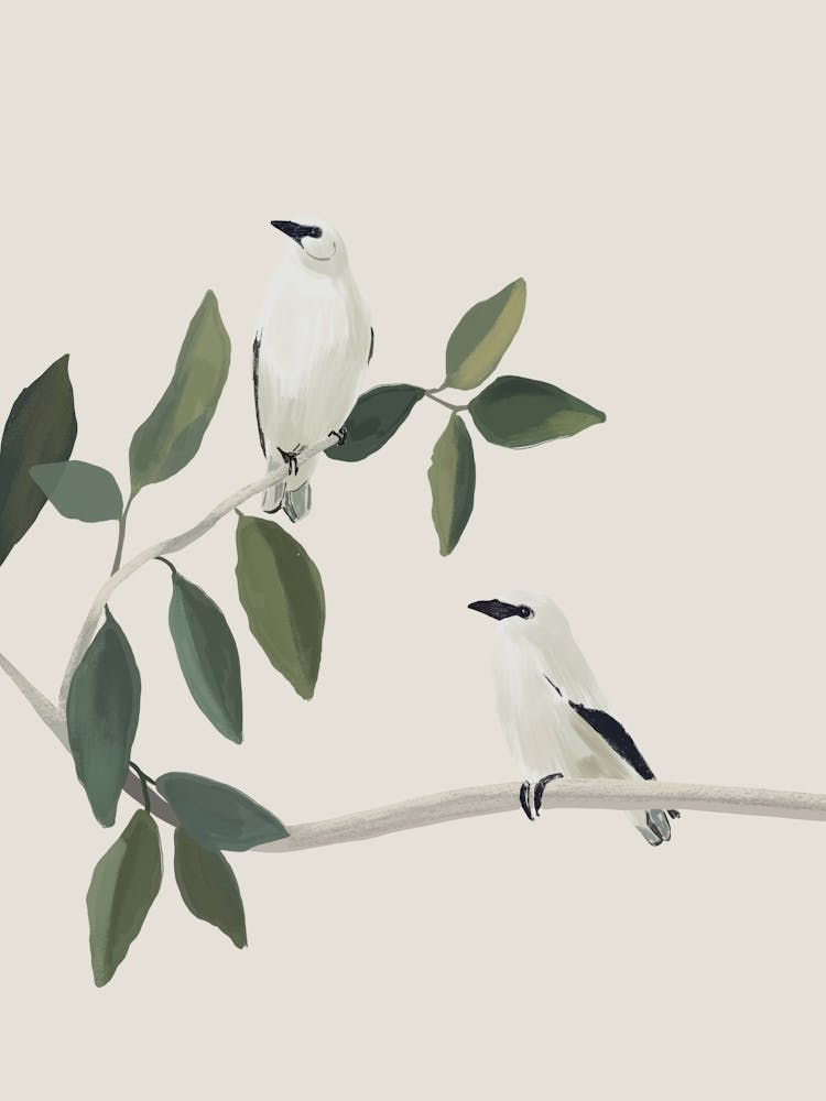 Minimalist Birds On Branch 3