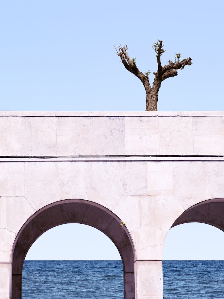 Ein Baum über dem Meer